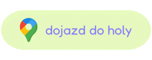 Holy Movement Studio ruchu Trening grupowy Zajęcia grupowe Kalistenika Gimnastyka Mobility Częstochowa zaciszańska